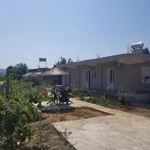 Rey Garden Affittacamere